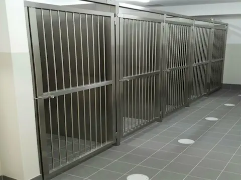 廣告圖片
